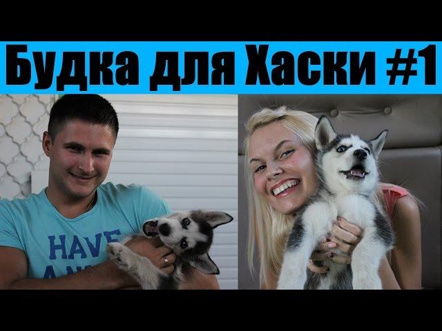 Будка для сибирской хаски / Dog house Husky 1-я часть