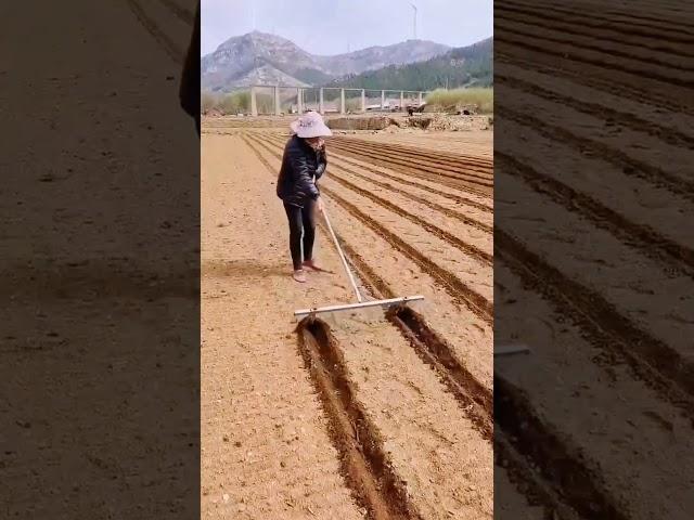 Smart Farming #satisfying #shortsvideo