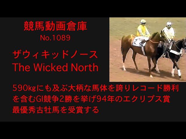 【競馬】ザウィキッドノース　The Wicked North【No1089】