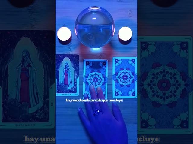  Lectura de Tarot  Interactiva  Tarot_mayte™ Consultas privadas  Instagram Mándame un DM #tarot