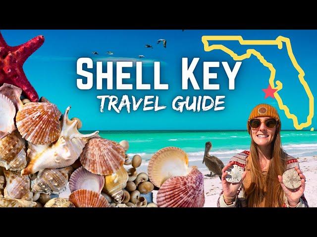 Shell Key | Explore this Florida Island and Sheller's Paradise