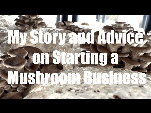 My Story and Advice on Starting a Mushroom Business