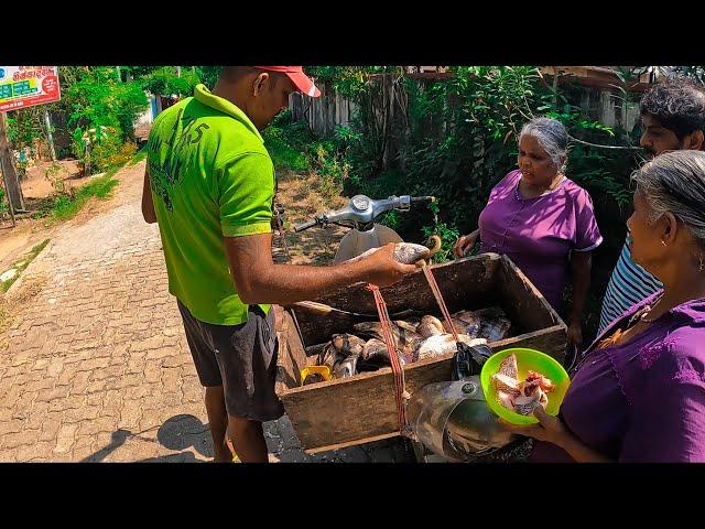 Amazing ! Fish Cutting Skills Sri Lanka | Excellent Fish Cutter Man Best Road Fish Cutting