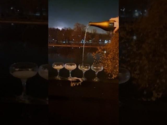 #party #champagne #lake view #good vibes #night life #amazing #bridge#fountain