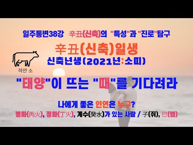 일주통변 38강 신축辛丑 내사주 내가 본다 "신축" 일주의 특성을 진단하고 진로와 적성을 탐구하는 학습 영상입니다 #명리학 #사주 #사주팔자 #사주명리 #운세 #교육