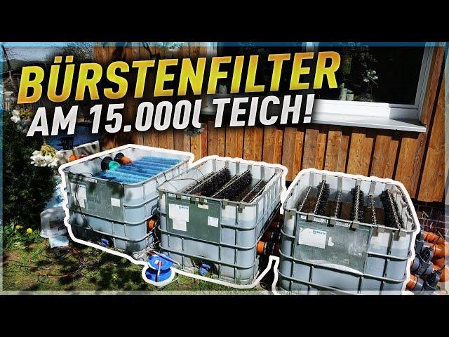 BÜRSTENFILTER im IBC CONTAINER! Ein KOITEICH mit "fast" 15.000 Litern!