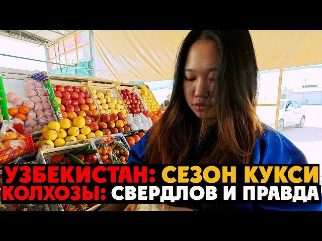  УЗБЕКИСТАН: Ташкентские Колхозы «СВЕРДЛОВ» И «ПРАВДА» + ТОП-5 лучших кафе в этих районах?