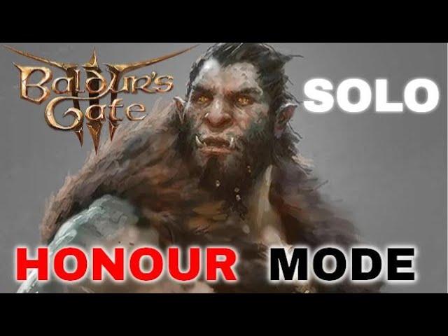 BG3 Solo | Rage against the Honour Mode | Act 1 Part 2