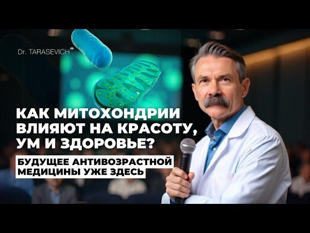 Как митохондрии влияют на красоту, ум и здоровье? Простой ответ на сложный вопрос