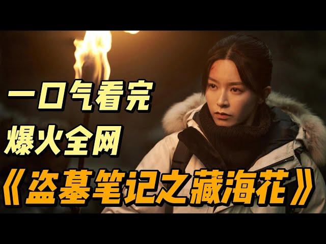 南派三叔最新力作，一口气看完爆火《盗墓笔记》藏海花连载中 #中国电视剧 #影视解说