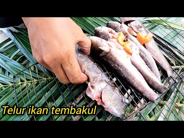 Santai-santai Badol Bersama Keluarga Bakar Ikan Tembakul // Ikan Belacak Bakar