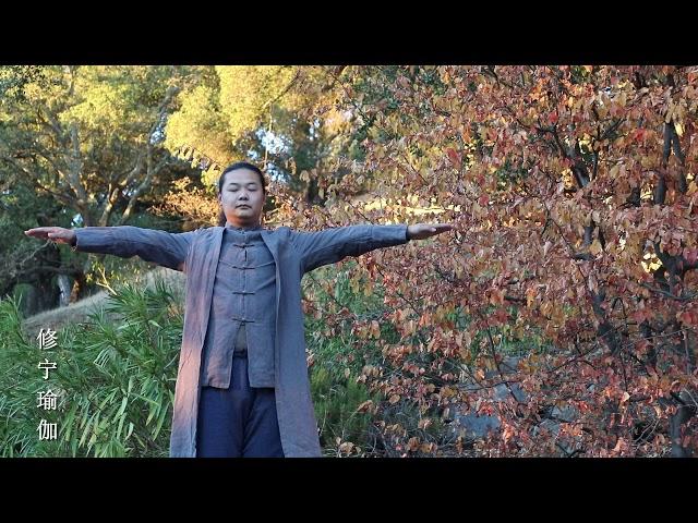 QiGong Chinese Kungfu 气功 中国功夫