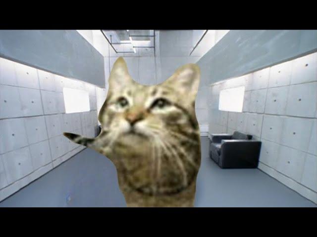 (MeowSynth) Virtual Insanity