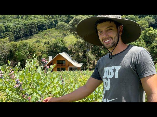 JOVEM DE CORAGEM - NA LIDA DA ROÇA CULTIVANDO MIRTILO