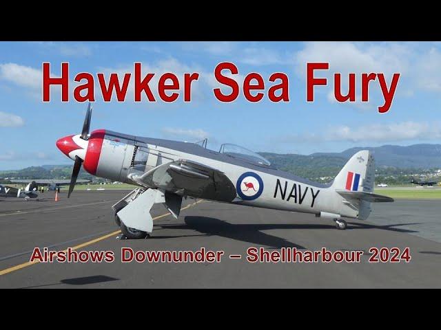 Hawker Sea Fury at Airshows Downunder - Shellharbour 2024