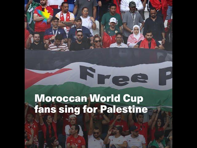 Moroccan World Cup fans sing for Palestine