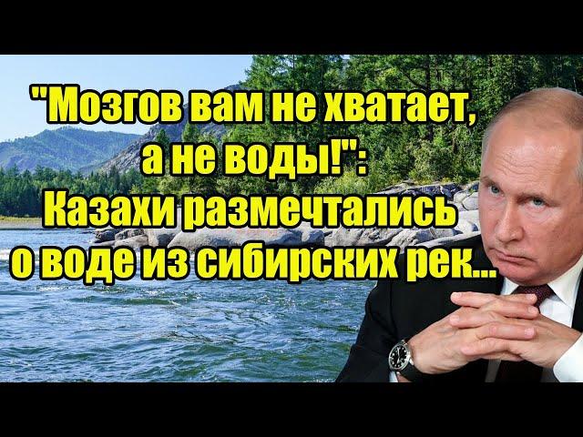 "Мозгов вам не хватает, а не воды!": Казахи размечтались о воде из сибирских рек...