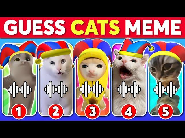 GUESS CATS MEME | The Amazing Digital Circus, Chipi Chipi Chapa Chapa Cat, Happy Cat, Banana Cat