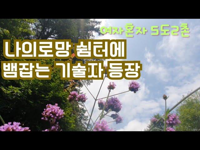 50대1인가구/뱀잡는 기술자 등장/ 나의로망 쉼터/5도2촌