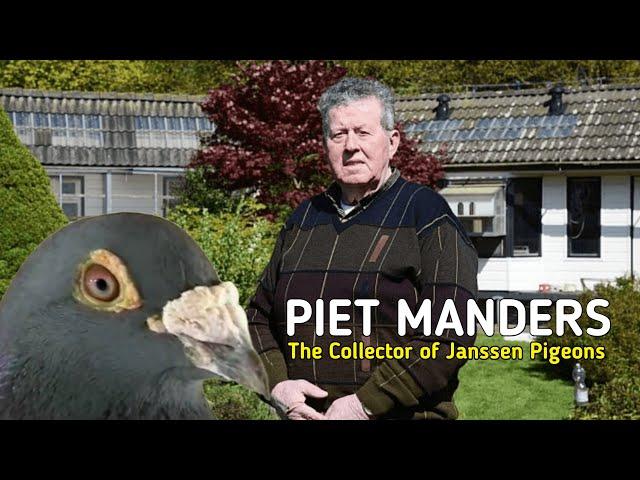 The Pigeon Collector of the Janssen Brothers from Arendonk - PIET MANDERS