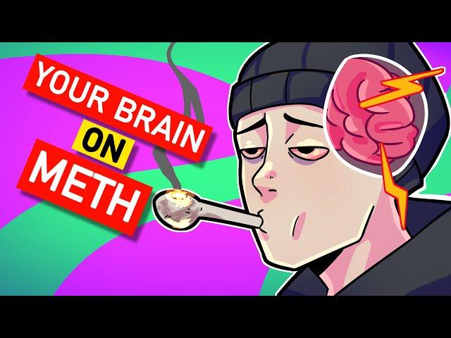 Your brain On Methamphetamine