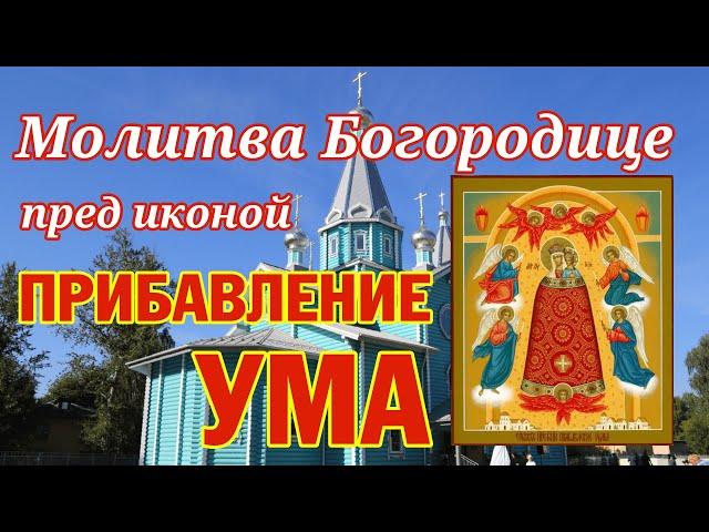 Молитва Пресвятой Богородице пред иконой "Прибавление ума" | Аудио + текст на экране