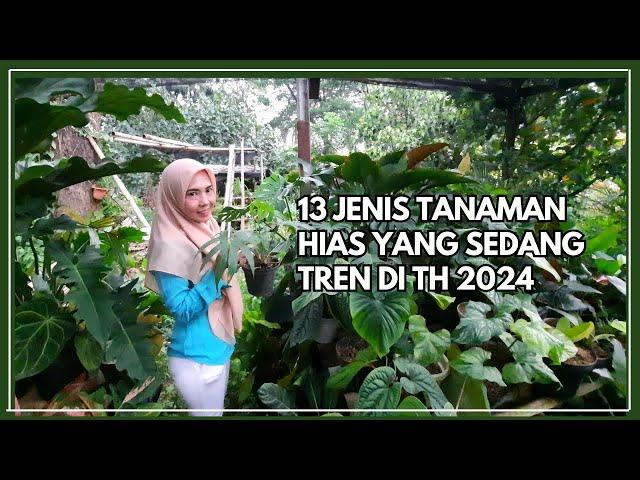 13 Jenis Tanaman Hias yang Sedang Trend di Th 2024 Jadi Buruan Pencinta Tanaman