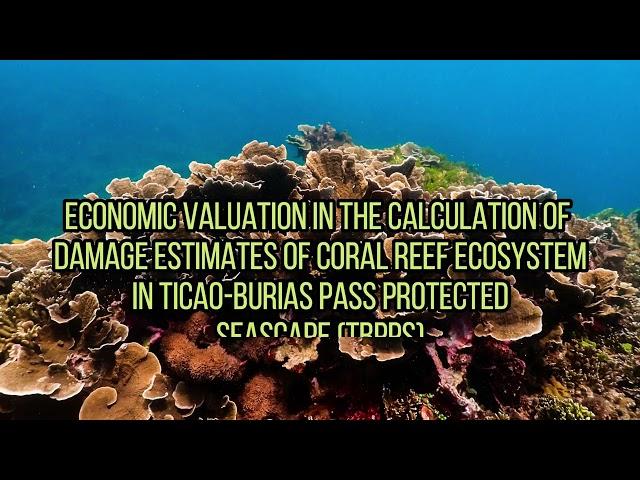 Economic Valuation in Ticao-Burias Pass Protected Seascape [special project] - AVP