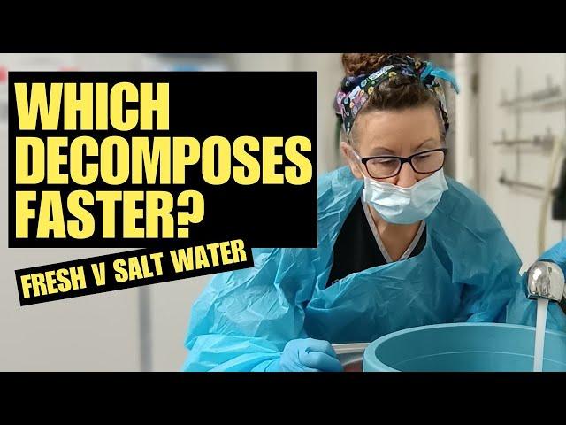 Salt water V freshwater for decomposition