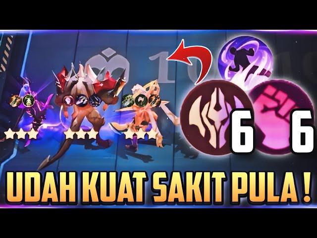 KADAL IMMORTAL WRESTLER + YUKI 3  COMBO MAGIC CHESS TERKUAT TERBARU