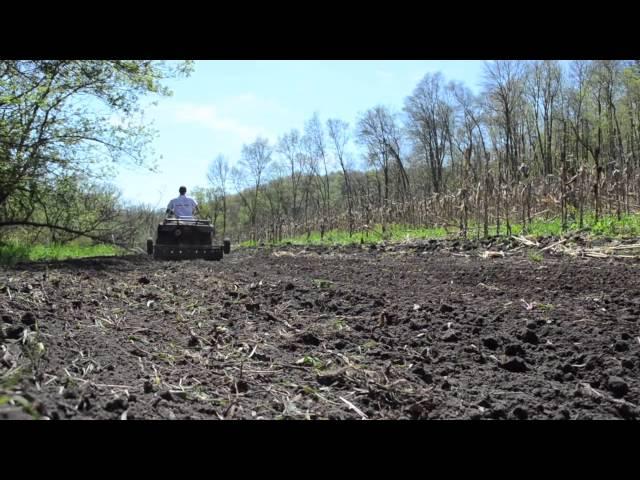 Deer Food Plots in Seven Easy Steps | Tractor Supply Co.