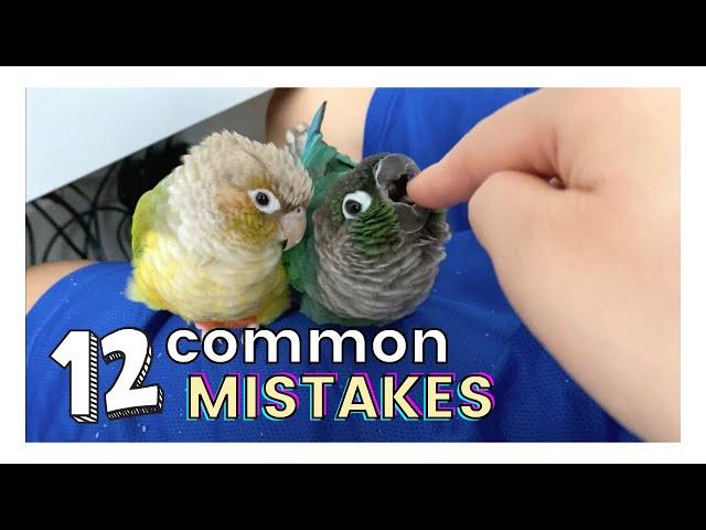 12 COMMON MISTAKES THAT BIRD OWNERS MAKE | Parrot Ownership