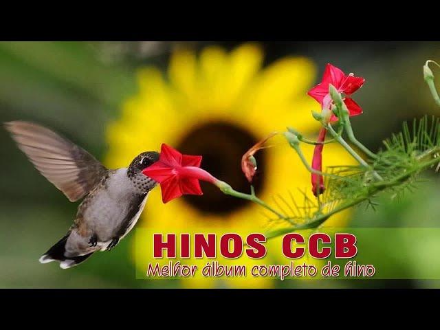 Hinos CCB 2020 - Melhor álbum Completo De Hino - Louvor a Deus