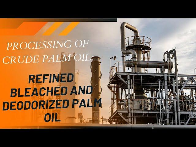 Processing of Crude Palm Oil into Refined Bleached and Deodorized Palm Oil