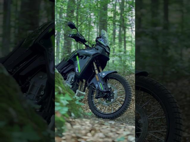 CF Moto 450MT - Forest ride #cfmoto #cfmoto450mt #bikeride #forestride #adventure #trip