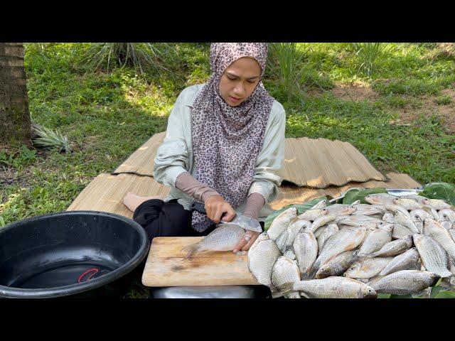 PEKASAM IKAN CARA ORANG LAMA | Confirm jadi !