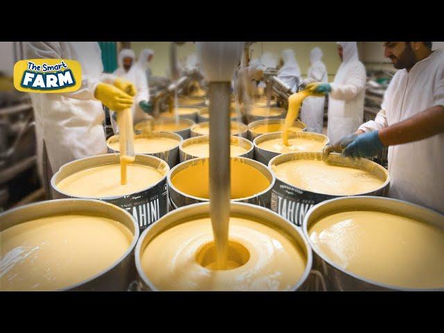 Tahini Sauce Factory: Making Process From Sesame Seeds to Tahini, Sesame Oil, Halva | How it's made