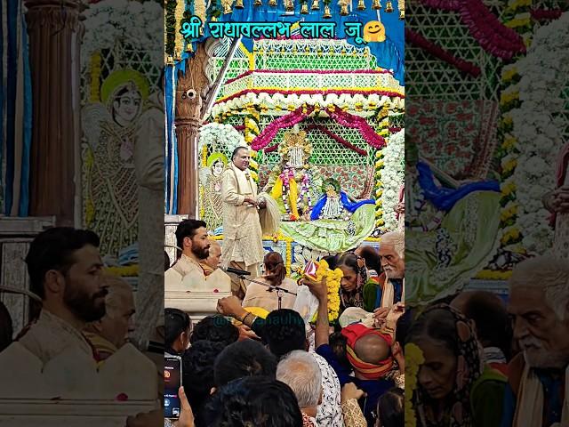 Shri Radhavallabh lal ju, Vrindavan #shorts #youtubeshorts #vrindavan #radhavallabh #ytshort