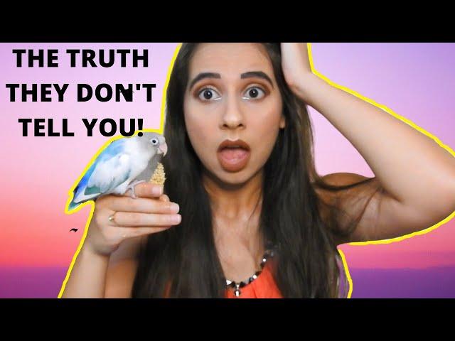 7 Things They DON'T Tell You About Owning a Bird!! | What it is like Owning a Parrot