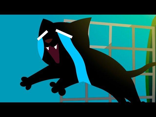 ПОБЕГ ЧЕРНОГО КОТА из клетки. Питомец забрался в стиральную машину #ПУРУМЧАТА