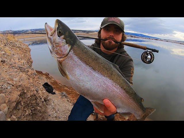 BIGGEST TROUT I’VE CAUGHT AND COOKED!!! (Fly Fishing)