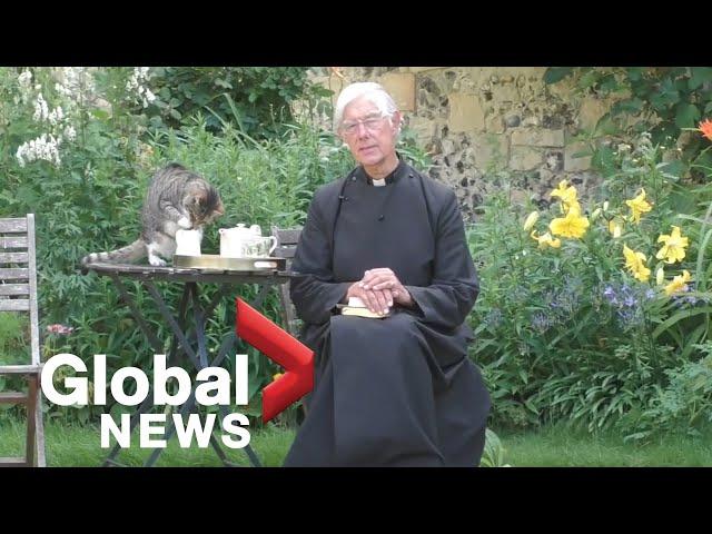 Cat steals some milk during Dean of Canterbury Cathedral's morning sermon