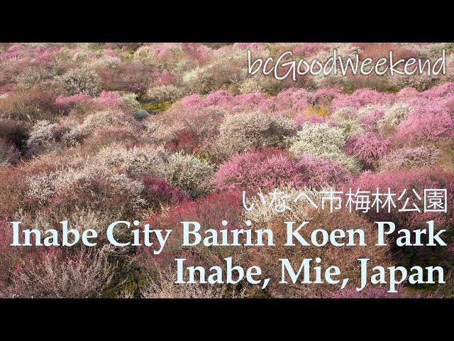 [Little Scenery] Inabe City Bairin Koen Park / Inabe, Mie, Japan