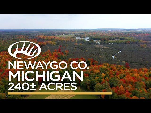 Newaygo County, MI 240± acres