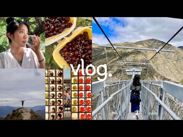 vlog. #2 뉴질랜드 퀸즈타운 2박 3일 동안의 여행기록  (Roys Peak, Gibbston Valley, PYO Cherries, Nevis Swing & ..)