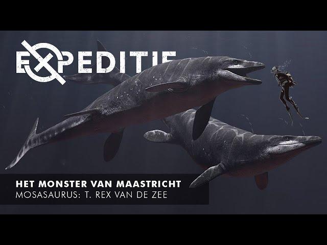 Het Monster Van Maastricht - Mosasaurus: De T. Rex Van De Zee