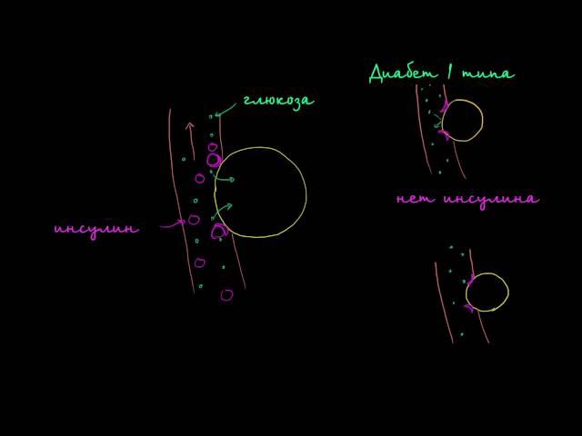 Глюкоза, инсулин и диабет
