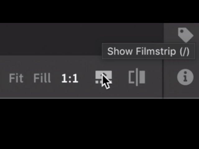 How to use the filmstrip in Photoshop Lightroom