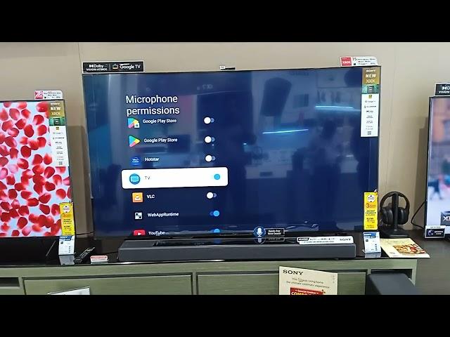 How to activate built-in mic of Google TV for Hands Free Google Assistant & voice command