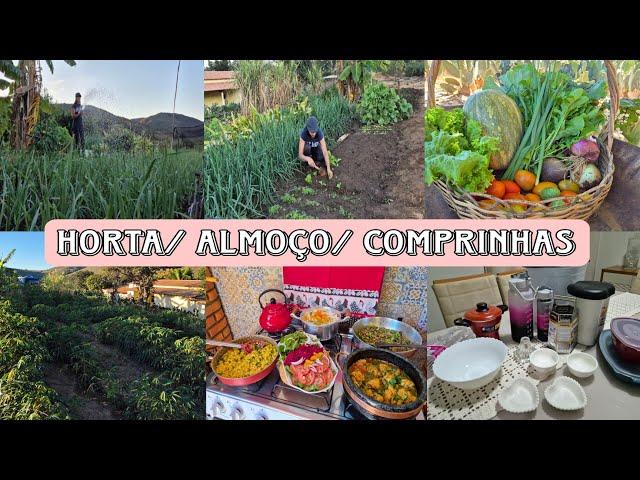 Comprinhas pro lar |  cuidando da horta | colheita pra fazer o almoço